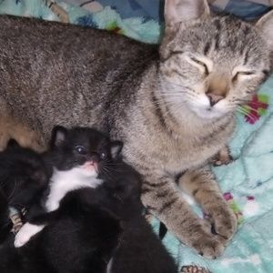 Meet your Posher, Meagan